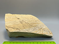 tan colored rock with faint brown stripes